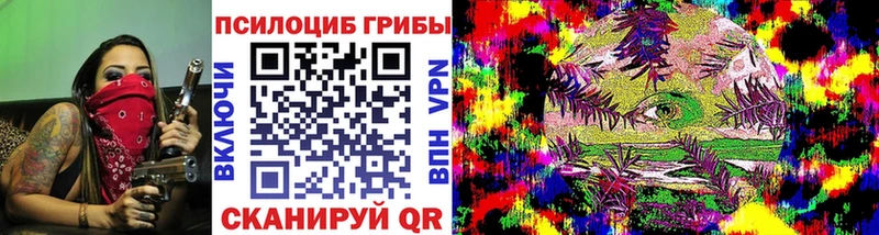 Галлюциногенные грибы Psilocybe  Купить закладки  Котельниково 