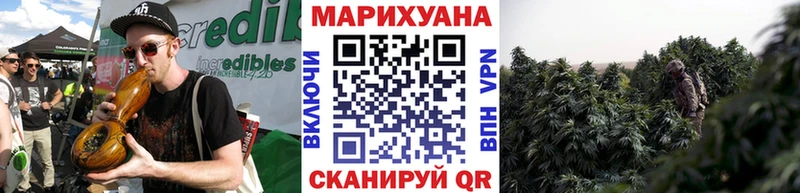 Конопля сатива  Купить закладки  Котельниково 